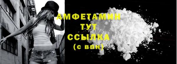 дмт Абаза