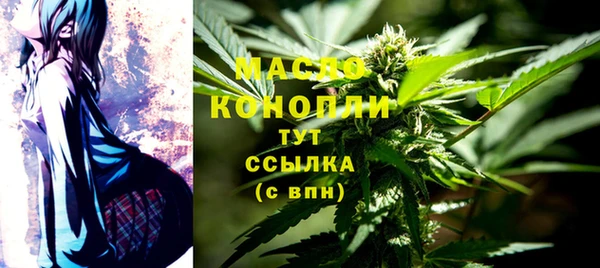 дмт Абаза