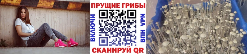Галлюциногенные грибы Magic Shrooms  сколько стоит  Шиханы 